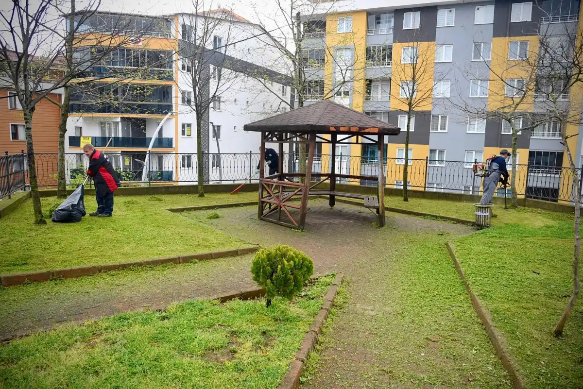 Giresun’da park ve bahçelere yaz bakımı