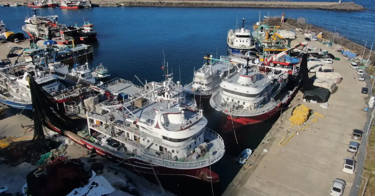 Karadeniz’de av sezonu sona erdi: Beklentiler karşılanmadı