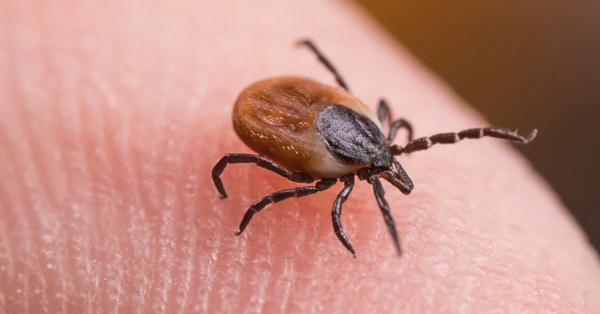 KKKA şüphesi: 21 yaşındaki genç hayatını kaybetti