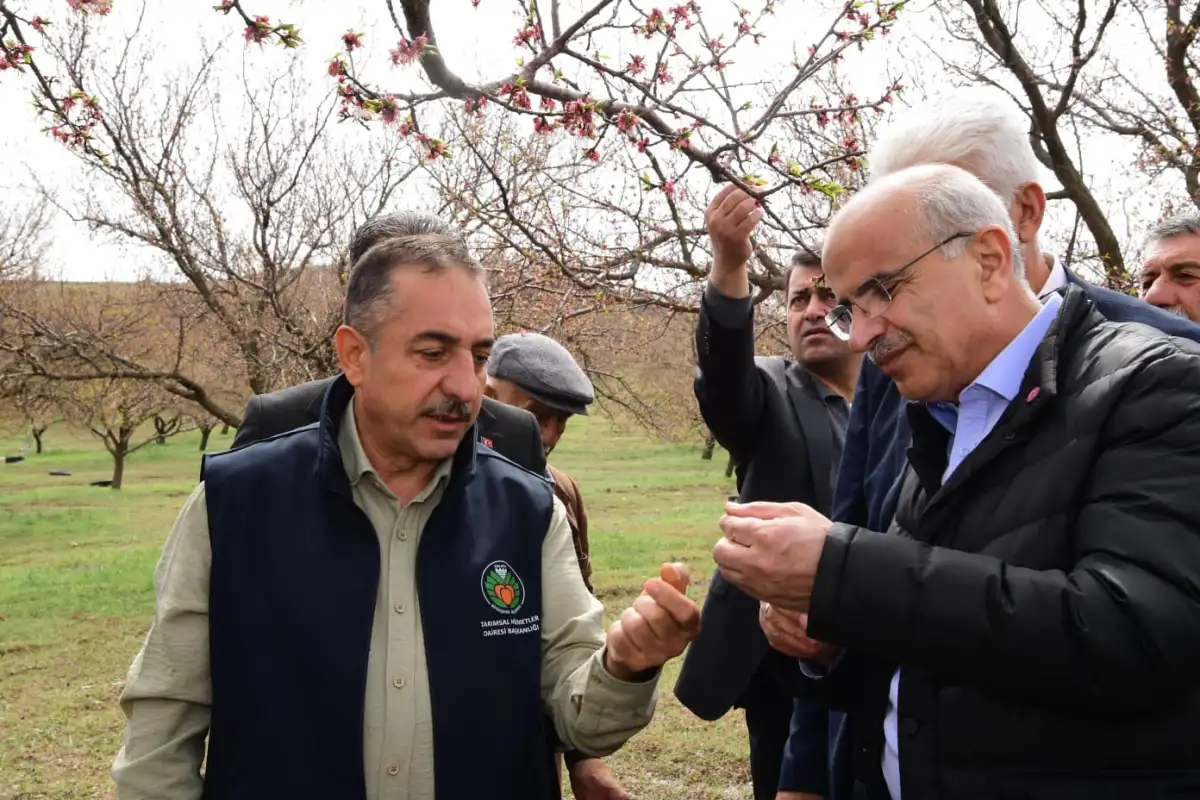 Malatya’da dolu hasarı için rapor hazırlanıyor: Veriler Ankara’ya iletilecek
