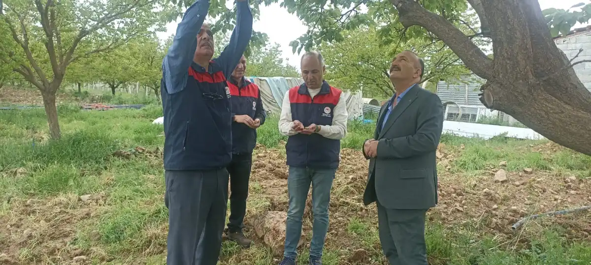 Malatya’da dolu yağışı sonrası hasar tespit çalışmaları başlatıldı