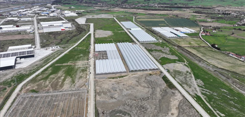 Samsun Sera Organize Tarım Bölgesi’nden Ekonomiye Büyük Katkı
