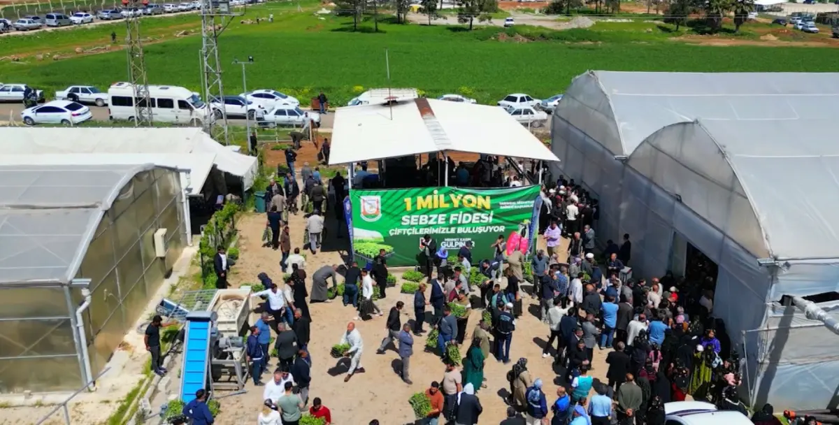 Şanlıurfa Büyükşehir, 1 milyon fide dağıtarak üreticiyi destekledi