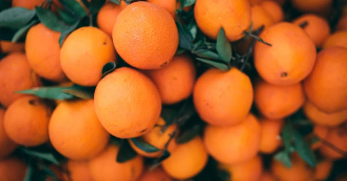 Turunçgil ihracatı 697,7 milyon dolara ulaştı