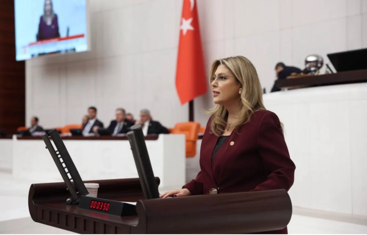 Elvan Işık Gezmiş; Giresun için maden ancak fındık olur