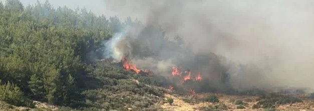 Çanakkale’de orman yangınına müdahale