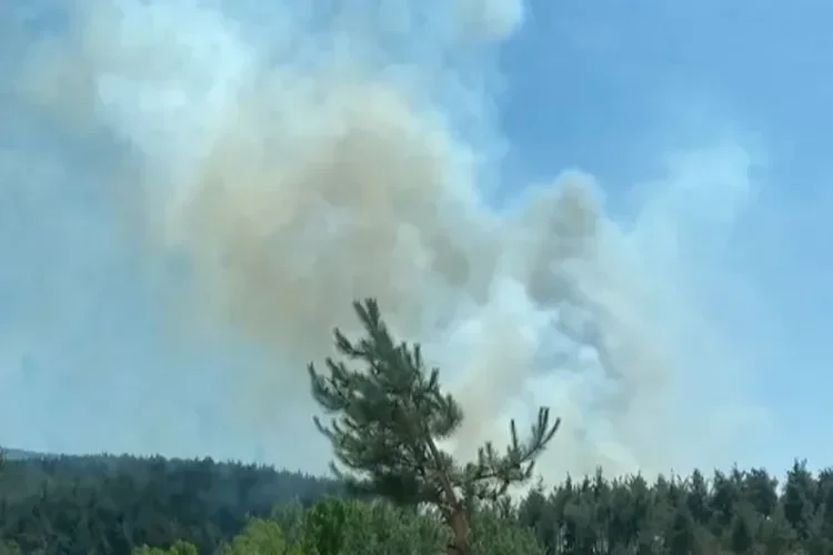 Çanakkale’de yangın ekiplerin müdahalesiyle kontrol altında