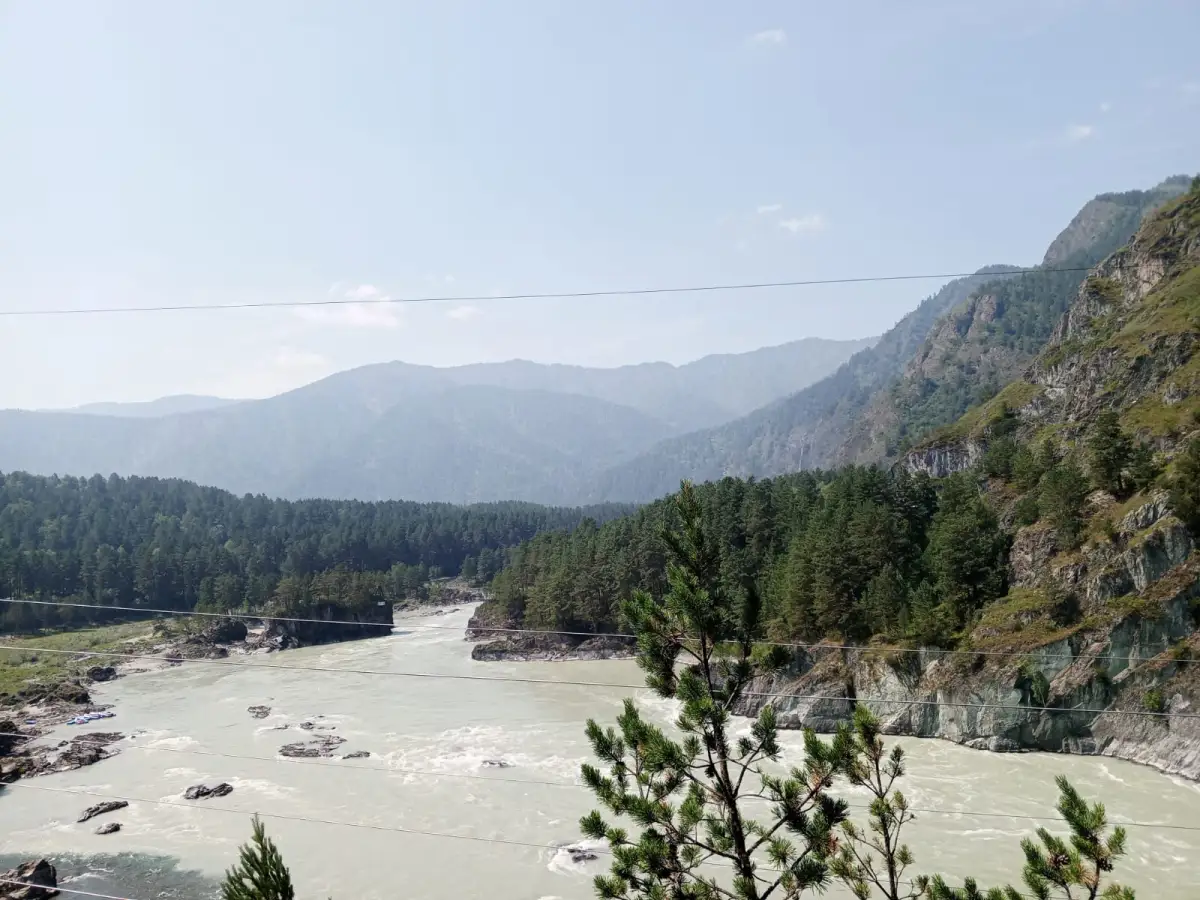 Eğitimci Hayat Aras: Altay’dan Anadolu’ya bitikler 4
