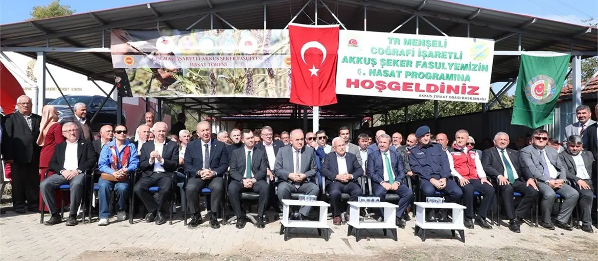 Ordu’da “Akkuş Şeker Fasulyesi” hasatı başladı