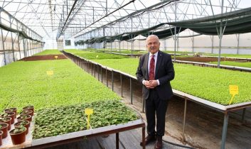 400 Bin kışlık sebze fidesi dağıtıma hazır