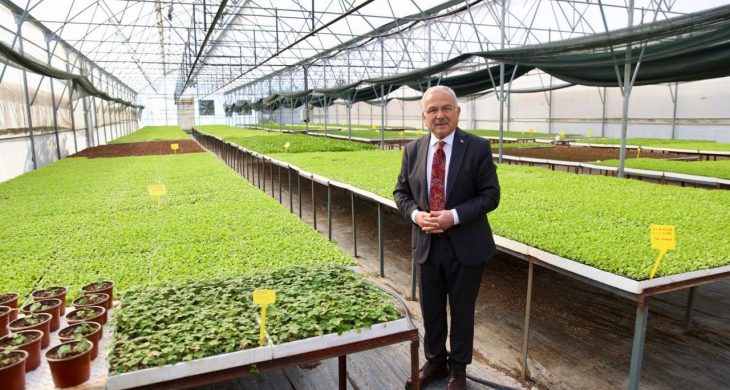 400 Bin kışlık sebze fidesi dağıtıma hazır