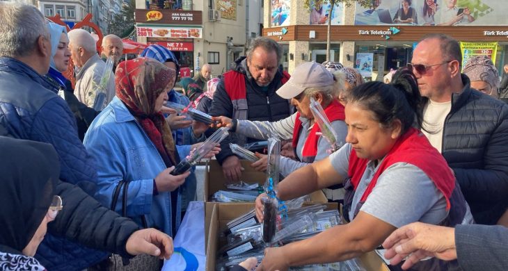 Ordu’da 2 bin adet fidan toprakla buluştu