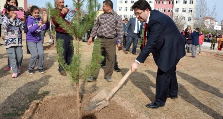 Aksaraylı Şehitlerin Adına ÇAM Fidanı Diktiler