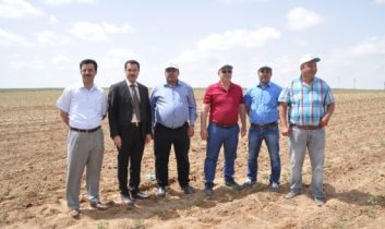 Aksaray’da Sebze Ve Meyve Üretimi Artıyor