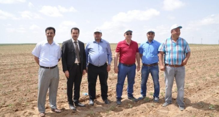 Aksaray’da Sebze Ve Meyve Üretimi Artıyor