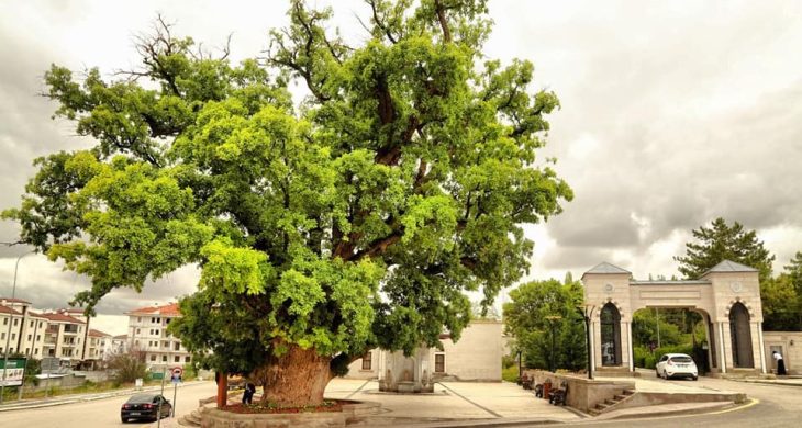 Kabristanlıklar Bayram Ziyaretleri İçin Hazırlandı