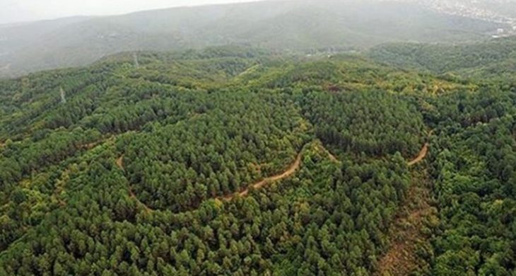 Türkiye’de doğal sit alanı 28 bin 907 kilometrekareye yükseldi