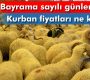 Kurban fiyatları el yakıyor