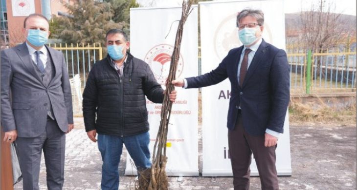 155 çiftçimize 14.790 adet fidan dağıtıldı