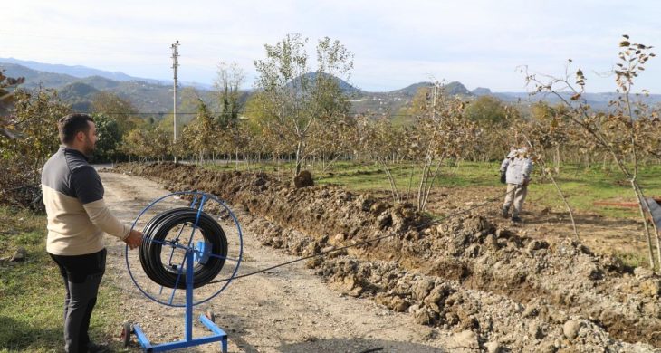 Finver’de damlama sulama dönemi