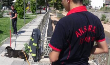 Saldırgan Köpeği İtfaiye Sakinleştirdi