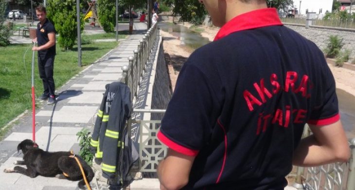 Saldırgan Köpeği İtfaiye Sakinleştirdi