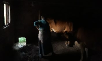 Karadeniz kadınının bitmeyen çilesi