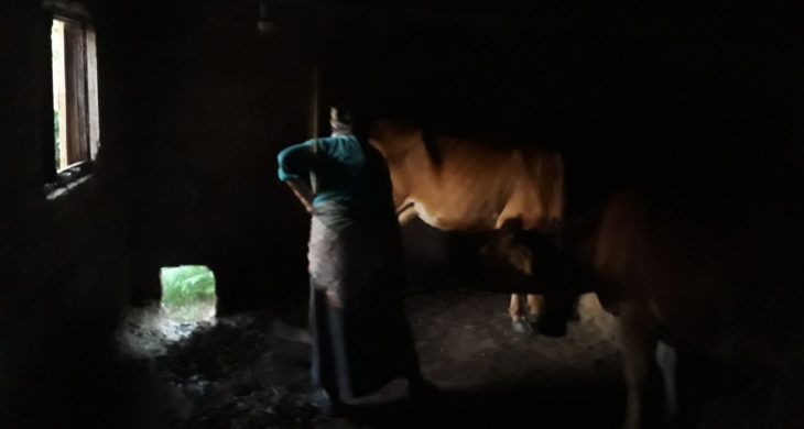 Karadeniz kadınının bitmeyen çilesi