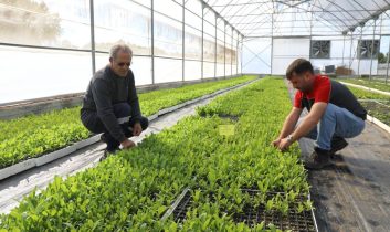 Kendi kendine yeten şehir: Ordu