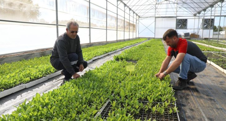 Kendi kendine yeten şehir: Ordu