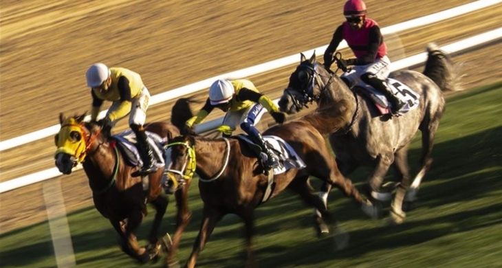 87. Cumhurbaşkanlığı Koşusu’nu  Grande Flusso kazandı