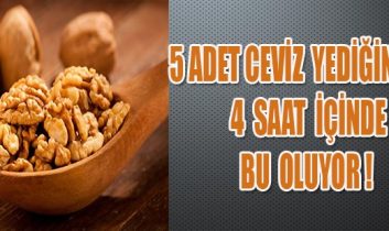 5 Adet Ceviz Yediğinizde, 4 Saat İçinde Bu Oluyor