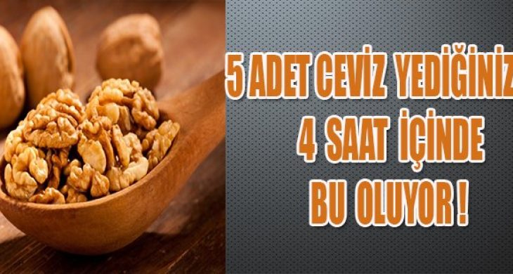 5 Adet Ceviz Yediğinizde, 4 Saat İçinde Bu Oluyor