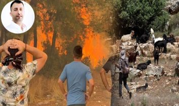 Bir kara keçinin yokluğu bin ağaç yakar