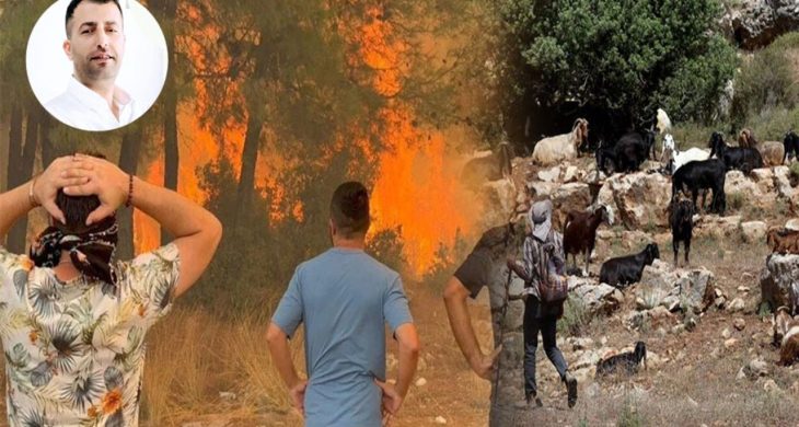 Bir kara keçinin yokluğu bin ağaç yakar