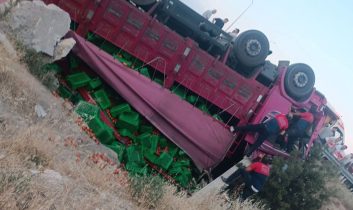 Domates yüklü kamyon dereye uçtu, sürücü ağır yaralı
