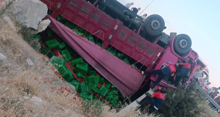 Domates yüklü kamyon dereye uçtu, sürücü ağır yaralı