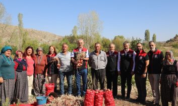 Kılıçlar Soğanında verim üreticiyi sevindirdi