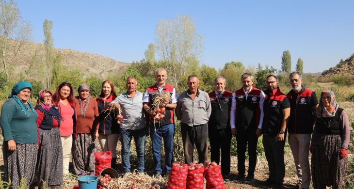 Kılıçlar Soğanında verim üreticiyi sevindirdi