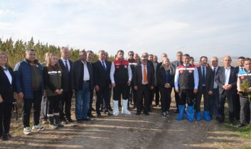 Türkiye’nin ilk yerli ve milli “Vezir Kenevirinin” hasadı Amasya’da gerçekleştirildi