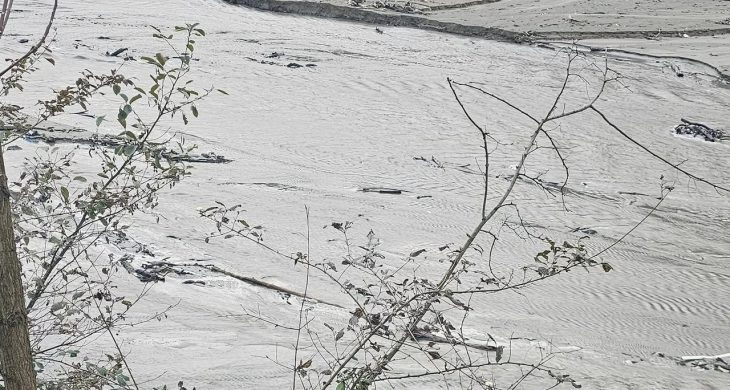 Harşit Çayı’nda tehlike çanları çalıyor