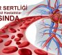 Damar Sertliği En Ölümcül Hastalıklar Arasında!
