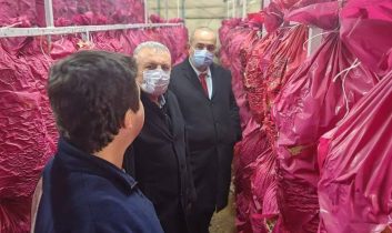 Mantarcılık kursunda teori ve uygulama buluştu