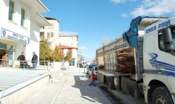 Fidan Yüklü Kamyondan Kaçak Sigara Çıktı