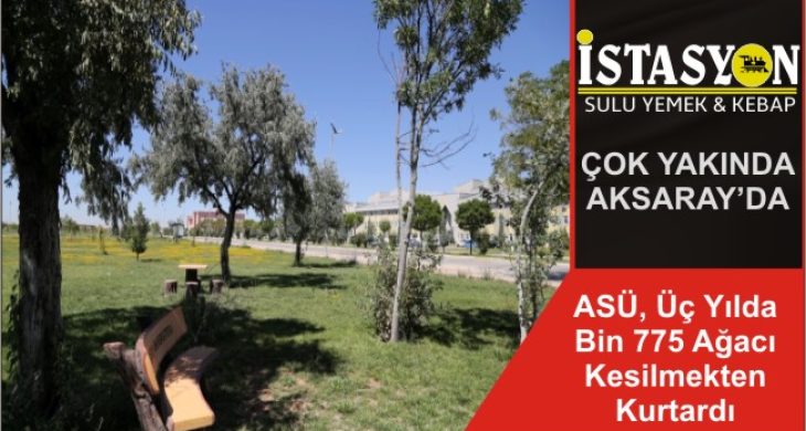 ASÜ, Üç Yılda Bin 775 Ağacı Kesilmekten Kurtardı