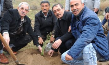 Enerya Aksaray’a Orman Kuruyor