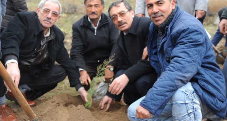 Enerya Aksaray’a Orman Kuruyor