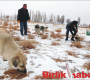 Aksaray Belediyesi Sokak Hayvanlarını Unutmadı