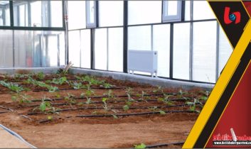 Aksaray Bilim Merkezinde Tarım ve Doğa Atölyesi’nin Kurulumu Tamamlandı