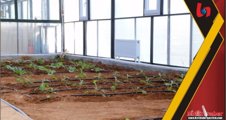 Aksaray Bilim Merkezinde Tarım ve Doğa Atölyesi’nin Kurulumu Tamamlandı